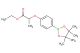 ethyl 2-(4-(4,4,5,5-tetramethyl-1,3,2-dioxaborolan-2-yl)phenoxy)propanoate