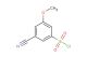 3-cyano-5-methoxybenzene-1-sulfonyl chloride
