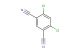 4,6-dichloroisophthalonitrile