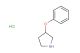 3-phenoxypyrrolidine hydrochloride