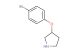 3-(4-bromophenoxy)pyrrolidine
