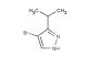 4-bromo-3-isopropyl-1H-pyrazole