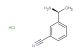 (S)-3-(1-aminoethyl)benzonitrile hydrochloride