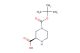 (R)-4-(tert-butoxycarbonyl)piperazine-2-carboxylic acid
