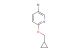 5-bromo-2-(cyclopropylmethoxy)pyridine