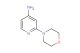 2-morpholinopyridin-4-amine