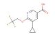 5-cyclopropyl-6-(2,2,2-trifluoroethoxy)nicotinic acid