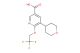 5-(tetrahydro-2H-pyran-4-yl)-6-(2,2,2-trifluoroethoxy)nicotinic acid