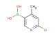 2-chloro-4-methyl-5-pyridineboronic acid