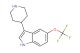 3-(piperidin-4-yl)-5-(trifluoromethoxy)-1H-indole