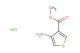 methyl 4-aminothiophene-3-carboxylate hydrochloride