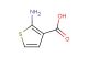 2-aminothiophene-3-carboxylic acid