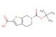 6-(tert-Butoxycarbonyl)-4,5,6,7-tetrahydrothieno[2,3-c]pyridine-2-carboxylic acid