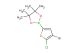2-(4-bromo-5-chlorothiophen-2-yl)-4,4,5,5-tetramethyl-1,3,2-dioxaborolane