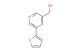 (5-(Thiophen-2-yl)pyridin-3-yl)methanol