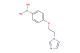 (4-(2-(1H-imidazol-1-yl)ethoxy)phenyl)boronic acid
