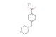 methyl 4-piperazin-1-ylmethylbenzoate