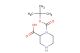 1-(tert-Butoxycarbonyl)piperazine-2-carboxylic acid