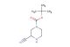 tert-butyl 3-cyanopiperazine-1-carboxylate