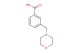3-(Morpholinomethyl)benzoic acid