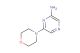 6-Morpholinopyrazin-2-amine