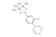 4-(2-chloro-4-(4,4,5,5-tetramethyl-1,3,2-dioxaborolan-2-yl)phenyl)morpholine