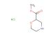 methyl morpholine-2-carboxylate hydrochloride