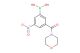 (3-(Morpholine-4-carbonyl)-5-nitrophenyl)boronic acid
