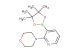 4-(3-(4,4,5,5-Tetramethyl-1,3,2-dioxaborolan-2-yl)pyridin-2-yl)morpholine