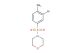 4-((3-bromo-4-methylphenyl)sulfonyl)morpholine