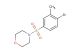 4-((4-bromo-3-methylphenyl)sulfonyl)morpholine