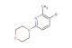 4-(5-bromo-6-methylpyridin-2-yl)morpholine