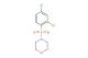 4-((2,4-dichlorophenyl)sulfonyl)morpholine
