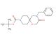 tert-butyl 4-benzyl-3-oxo-1-oxa-4,9-diazaspiro[5.5]undecane-9-carboxylate