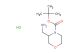 tert-butyl 3-(aminomethyl)morpholine-4-carboxylate hydrochloride