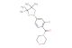 (2-chloro-4-(4,4,5,5-tetramethyl-1,3,2-dioxaborolan-2-yl)phenyl)(morpholino)methanone