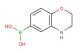 (3,4-Dihydro-2H-benzo[b][1,4]oxazin-6-yl)boronic acid