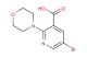 5-bromo-2-morpholinonicotinic acid