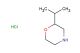 2-isopropylmorpholine hydrochloride