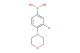 (3-chloro-4-morpholinophenyl)boronic acid
