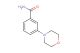 3-Morpholinobenzamide