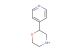 2-(Pyridin-4-yl)morpholine