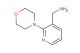(2-Morpholinopyridin-3-yl)methanamine