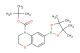 tert-butyl 6-(4,4,5,5-tetramethyl-1,3,2-dioxaborolan-2-yl)-2H-benzo[b][1,4]oxazine-4(3H)-carboxylate
