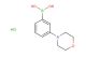 (3-Morpholinophenyl)boronic acid hydrochloride