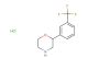 2-(3-(Trifluoromethyl)phenyl)morpholine hydrochloride