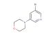 4-(5-bromopyridin-3-yl)morpholine