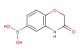 (3-Oxo-3,4-dihydro-2H-benzo[b][1,4]oxazin-6-yl)boronic acid