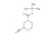tert-butyl 2-cyanomorpholine-4-carboxylate