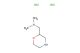 N,N-dimethyl-1-(morpholin-2-yl)methanamine dihydrochloride
